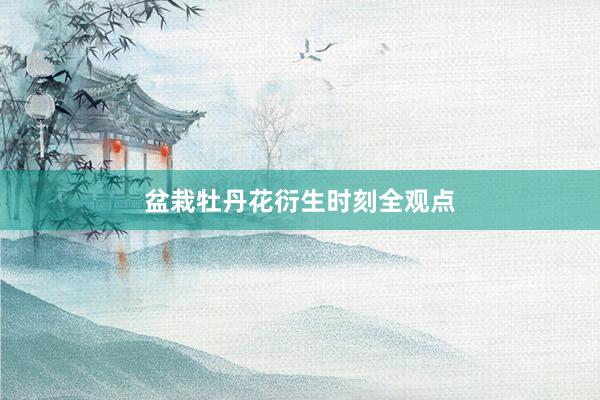 盆栽牡丹花衍生时刻全观点
